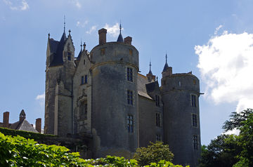 Photographiedu château de Montreuil-Bellay.
