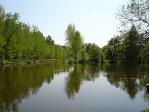 Photographie du confluent du Thouet et de la Dive.