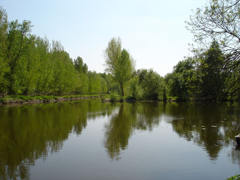 Fichier:Confluent du Thouet et de la Dive.jpg