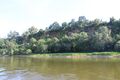 Loire chalonnes montjean 2024-0654.JPG