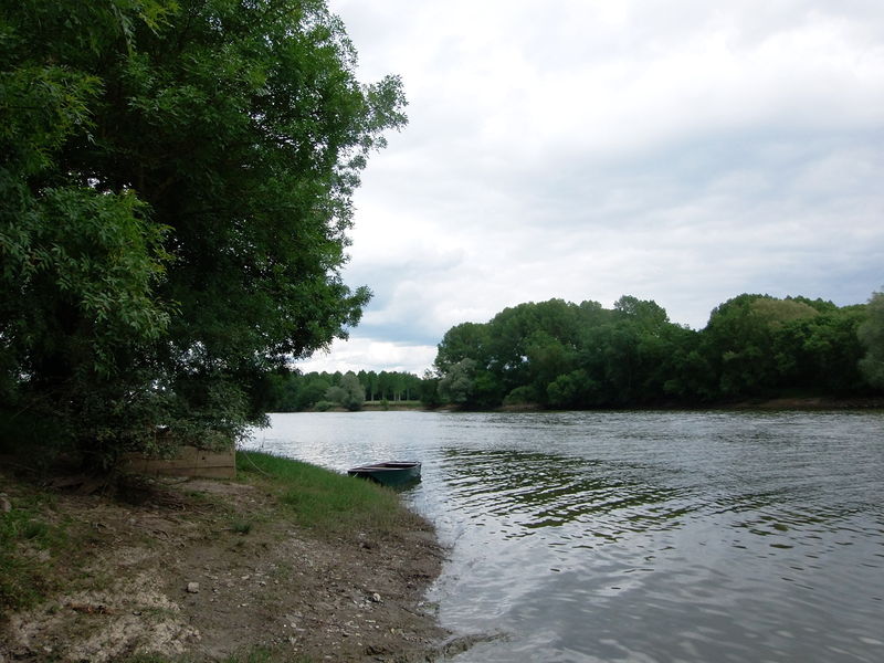 Fichier:Bouchemaine bord de maine 2015c.jpg
