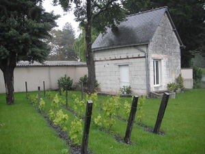 Photographie sur Contigné.