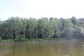 Loire chalonnes montjean 2024-0658.JPG