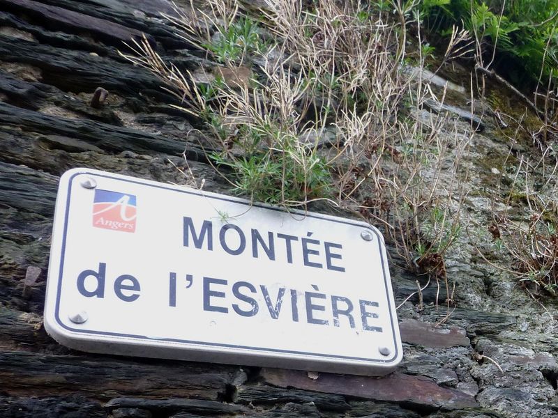 Fichier:Angers, Montée de l'Esvière.jpeg