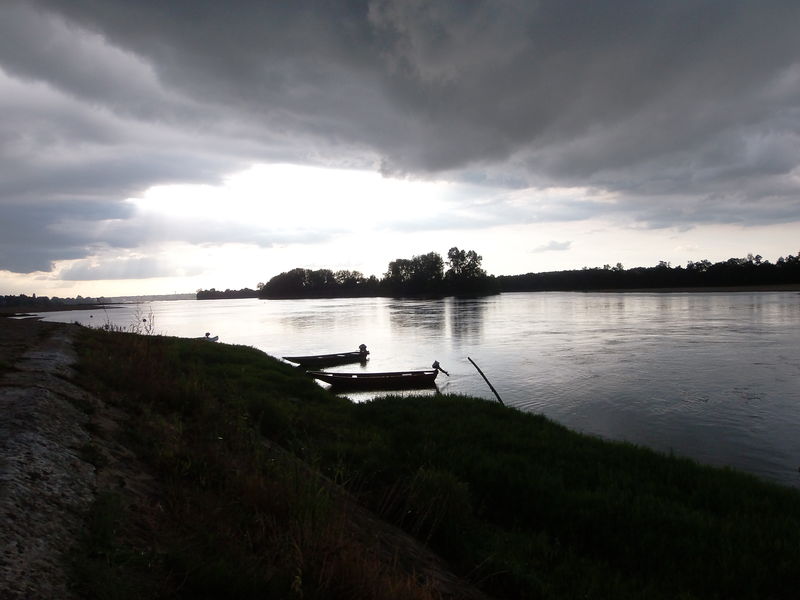 Fichier:Loire montjeansurloire 2014a.jpg