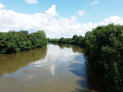 Guillemette bras de la loire-2014b.JPG