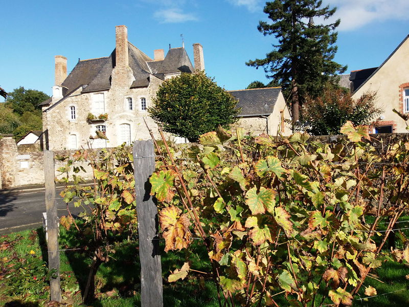 Fichier:Saintaubindeluigne mairie presbytere 2013-1.jpg