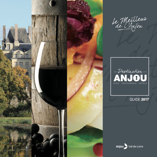 Fichier:Couverture Guide 2017.png
