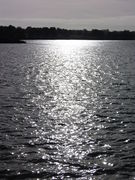 Cholet lac de ribou - 2015f.jpg