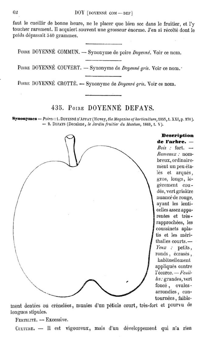 Page 62 du second tome du Dictionnaire de pomologie.