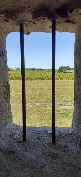 Fichier:Moulin guerin saintaubin r20-50.jpg