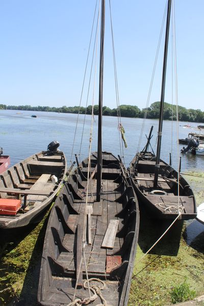 Fichier:La possonnière bords de loire 2021-9402.JPG