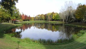 Photographie du parc.