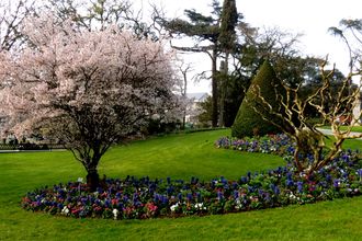 Photographie d'un jardin.