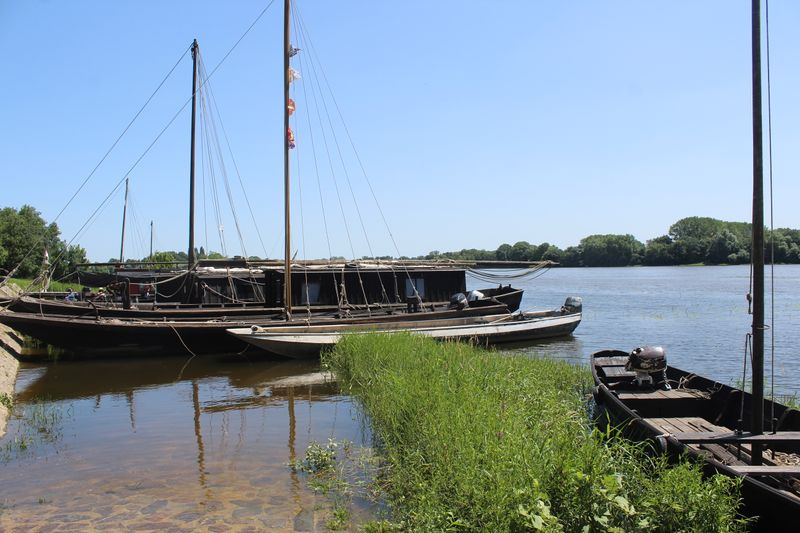 Fichier:La possonnière bords de loire 2021-9392.JPG