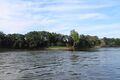 Loire chalonnes montjean 2024-0689.JPG