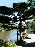 Parc oriental