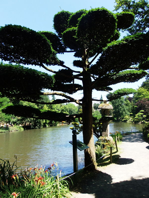 Photographie Parc oriental de Maulévrier.