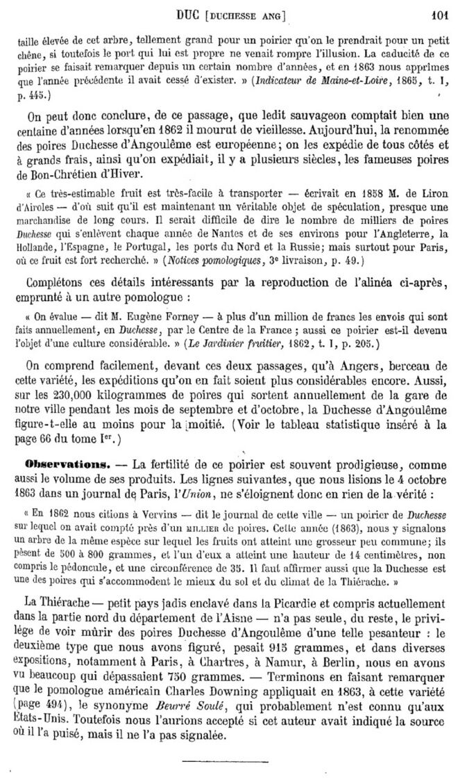 Page 101 du second tome du Dictionnaire de pomologie.