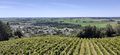 Plateau mauges saintaubin r20-47.jpg