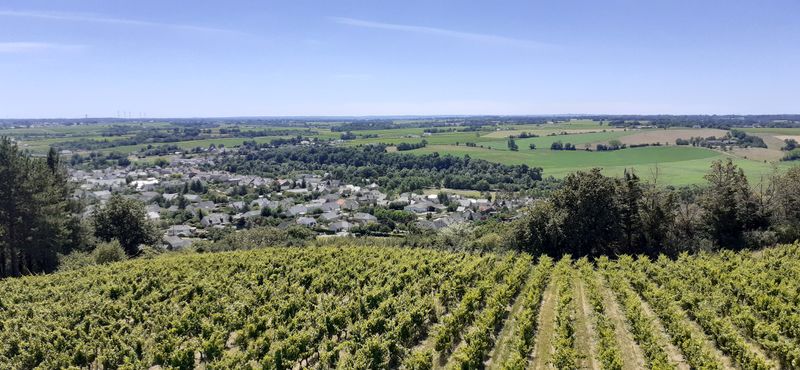 Fichier:Plateau mauges saintaubin r20-47.jpg